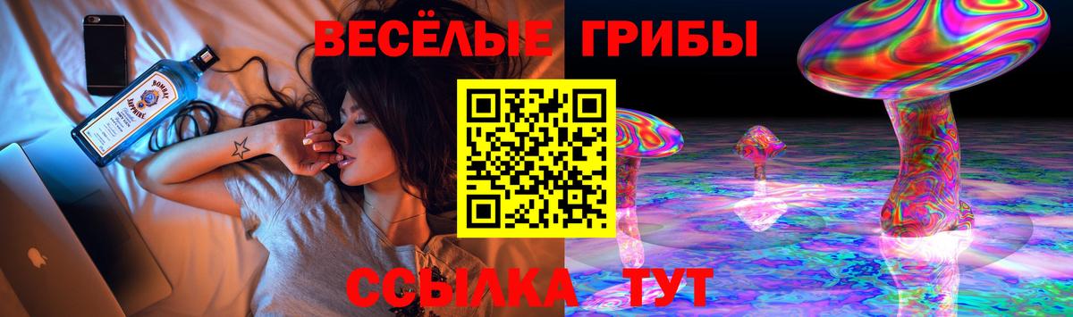 Псилоцибиновые грибы ЛСД Лесной